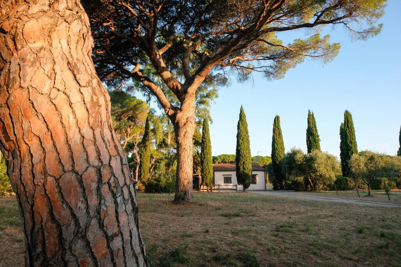 Residence La Canova II Grosseto Eksteriør bilde