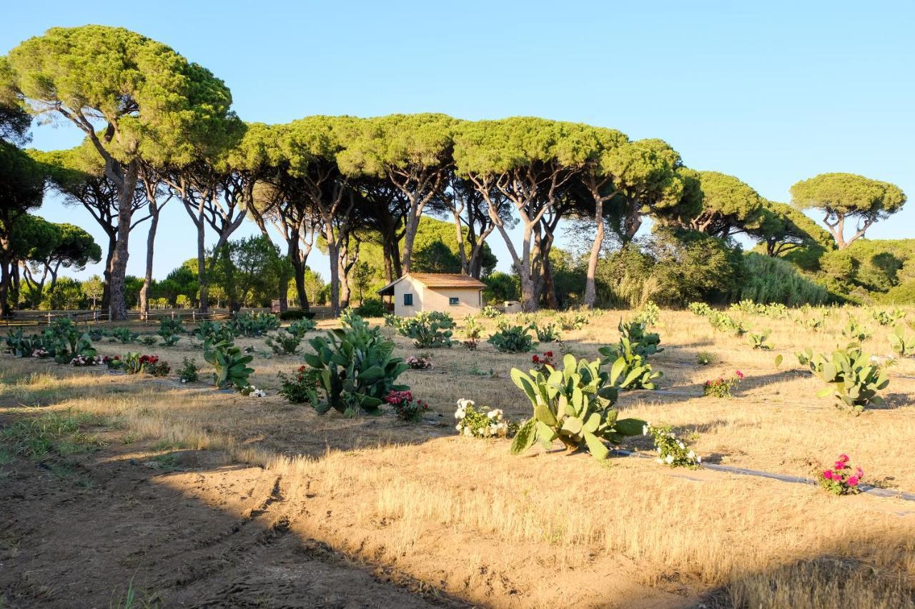 Residence La Canova II Grosseto Eksteriør bilde