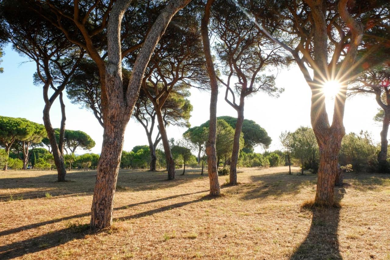 Residence La Canova II Grosseto Eksteriør bilde