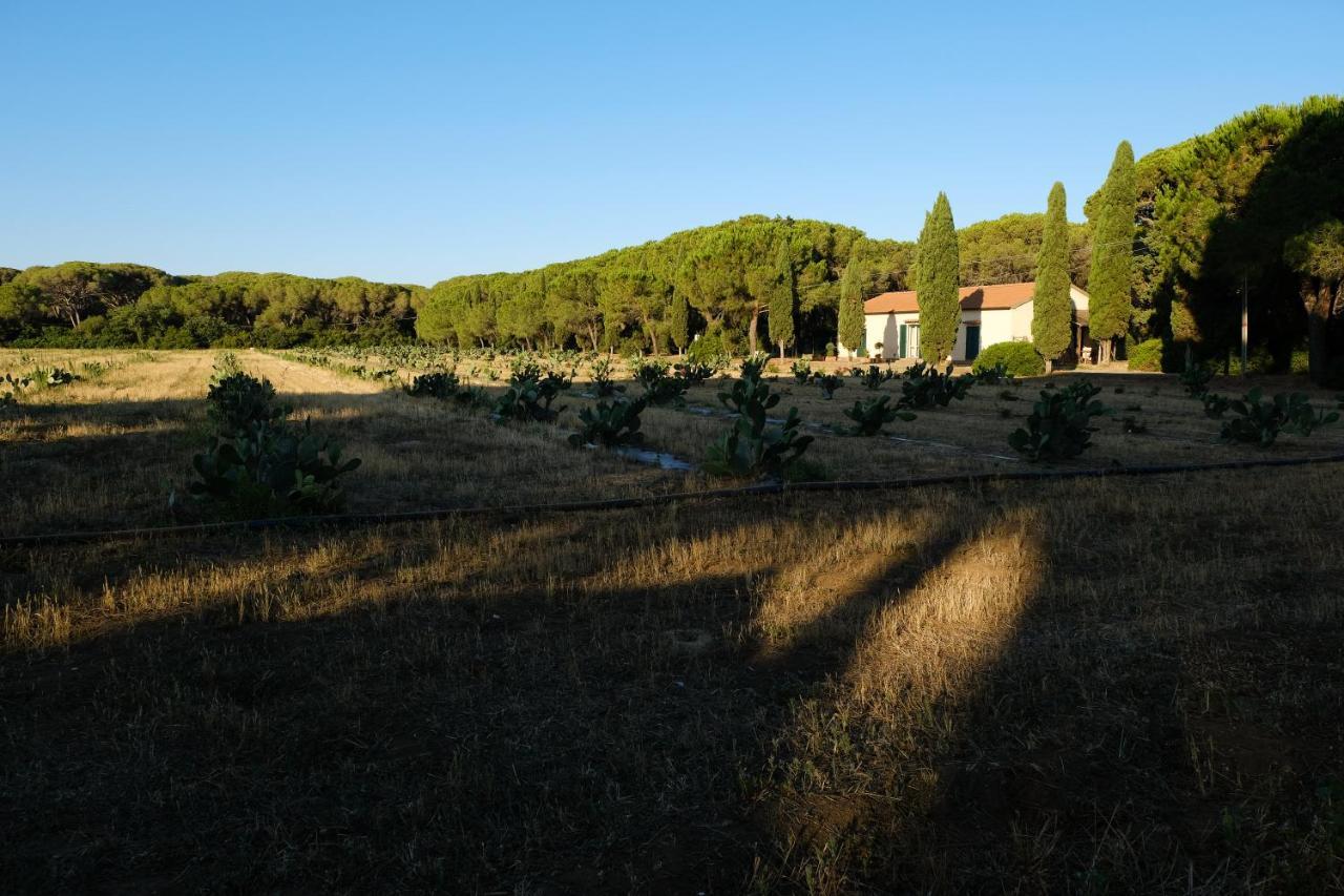 Residence La Canova II Grosseto Eksteriør bilde