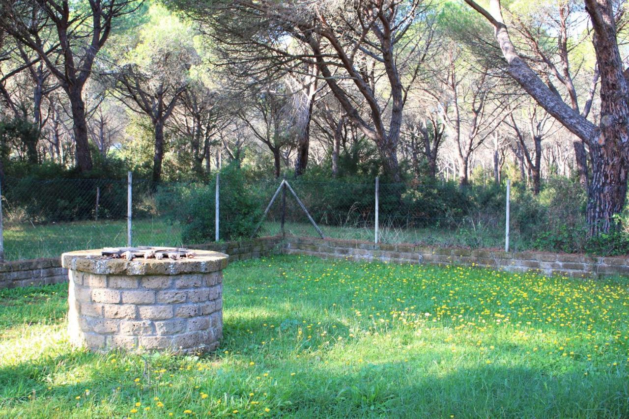 Residence La Canova II Grosseto Eksteriør bilde