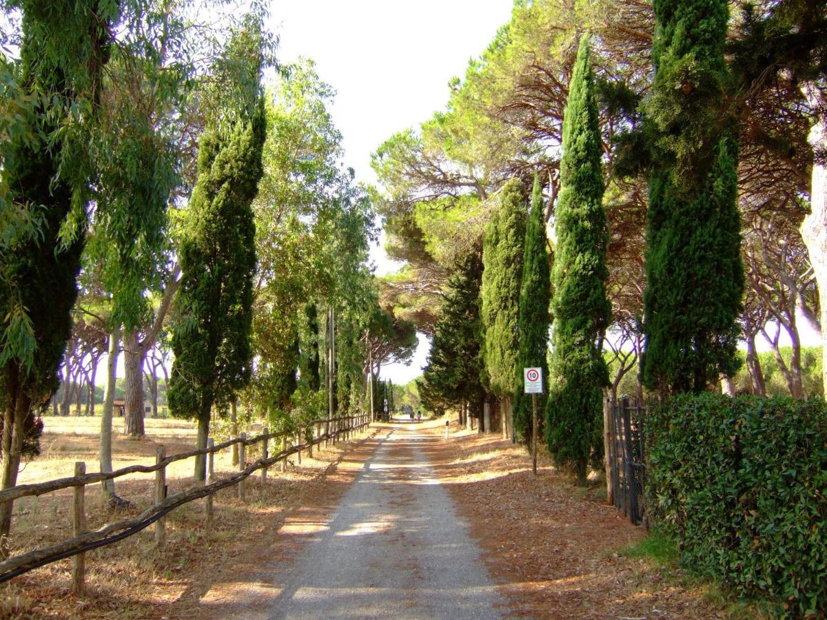Residence La Canova II Grosseto Eksteriør bilde