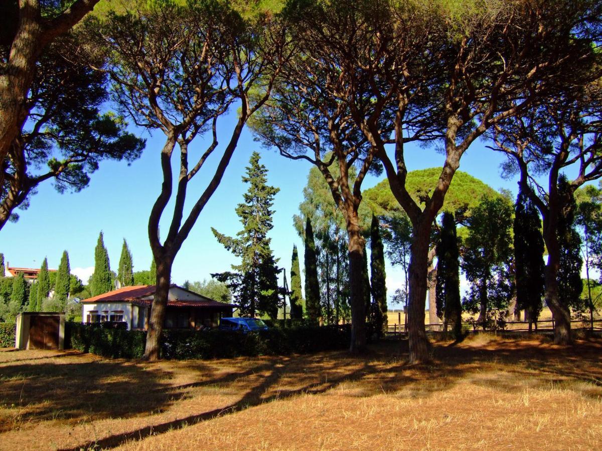 Residence La Canova II Grosseto Eksteriør bilde